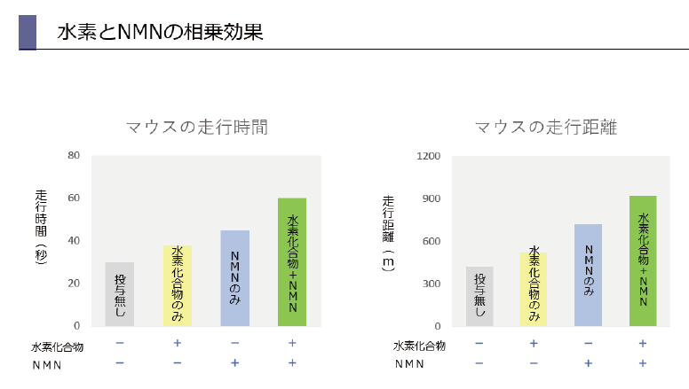 NMNsystemchart