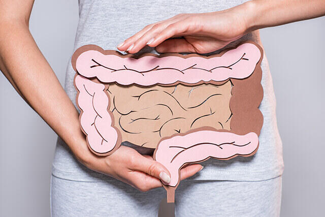 大腸は400種類、400兆個もの細菌が存在